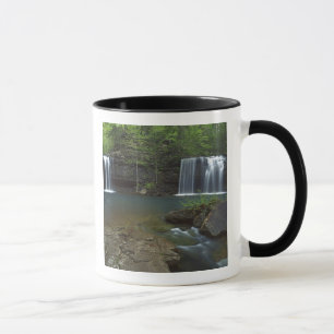 USA, Arkansas, Ozark- St Francis National Mug