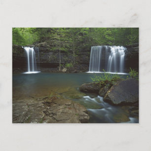 USA, Arkansas, Ozark- St Francis National Postcard