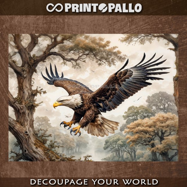 USA Bald Eagle flyies among the tree in a forest Tissue Paper (Creator Uploaded)
