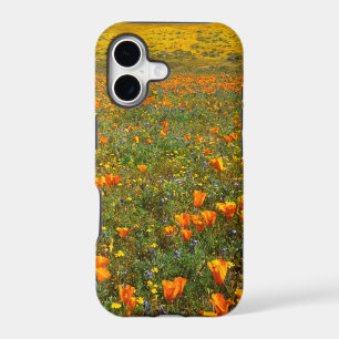 USA, California, Antelope Valley California