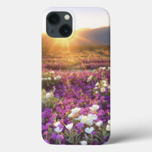 USA, California, Anza-Borrego Desert State Park. 2 iPhone 13 Case