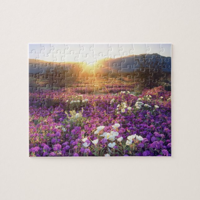 USA, California, Anza-Borrego Desert State Park. 2 Jigsaw Puzzle (Horizontal)