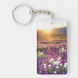 USA, California, Anza-Borrego Desert State Park. 2 Key Ring