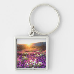 USA, California, Anza-Borrego Desert State Park. 2 Key Ring