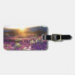USA, California, Anza-Borrego Desert State Park. 2 Luggage Tag