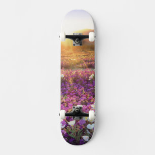 USA, California, Anza-Borrego Desert State Park. 2 Skateboard