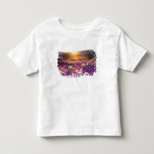 USA, California, Anza-Borrego Desert State Park. 2 Toddler T-Shirt