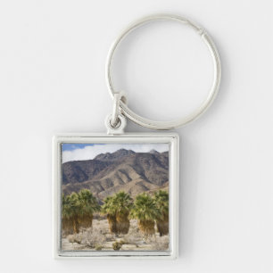USA, California, Anza-Borrego Desert State Park. Key Ring