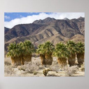 USA, California, Anza-Borrego Desert State Park. Poster