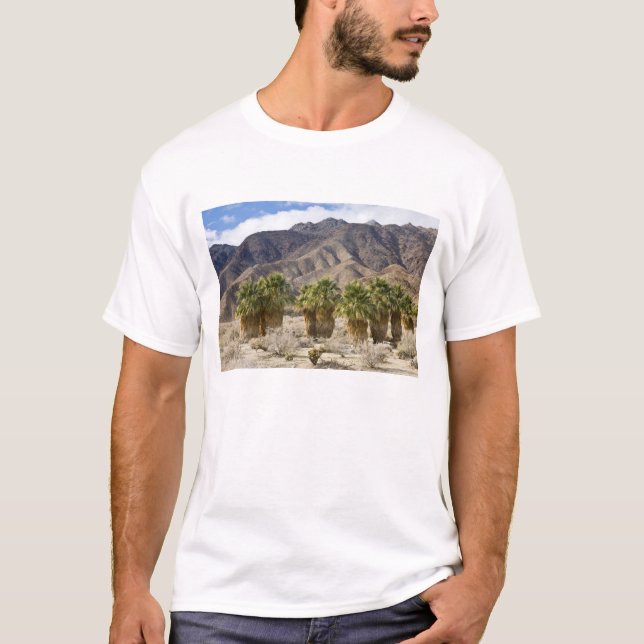 USA, California, Anza-Borrego Desert State Park. T-Shirt (Front)