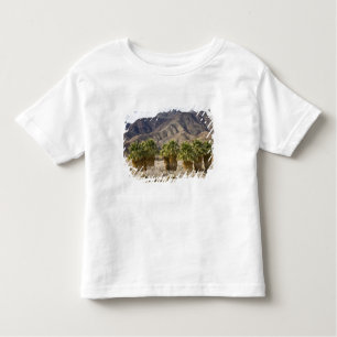 USA, California, Anza-Borrego Desert State Park. Toddler T-Shirt