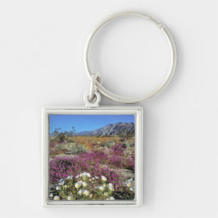 USA, California, Anza-Borrego DSP. Dune evening Key Ring