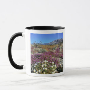 USA, California, Anza-Borrego DSP. Dune evening Mug