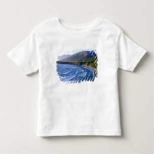 USA, California, Big Sur, bay along Highway 1. Toddler T-Shirt