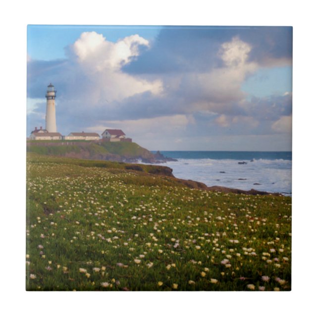 USA, California. Big Sur Panorama 2 Tile (Front)