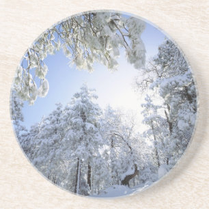 USA, California, Cleveland National Forest, Coaster