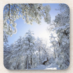USA, California, Cleveland National Forest, Coaster