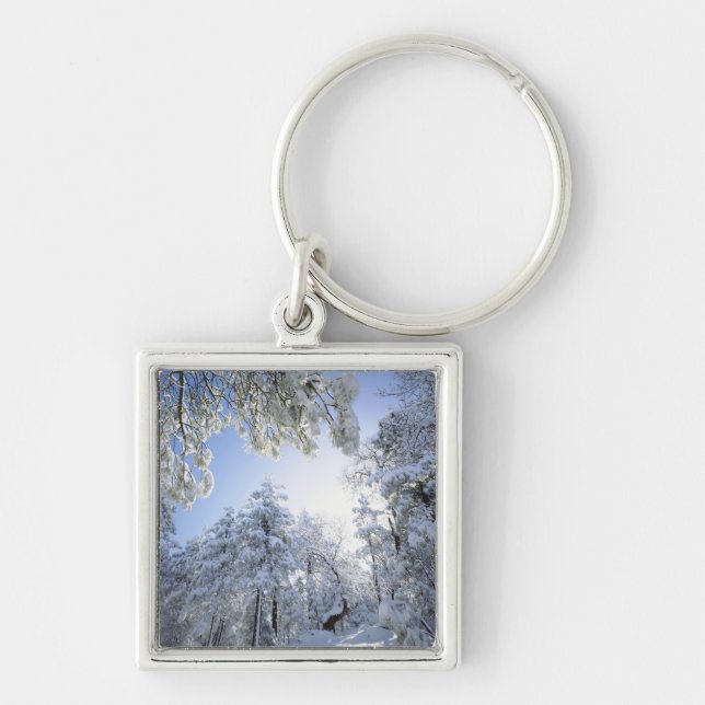 USA, California, Cleveland National Forest, Key Ring (Front)