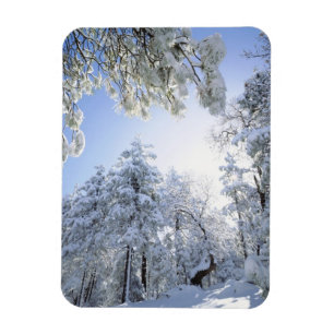 USA, California, Cleveland National Forest, Magnet