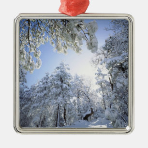 USA, California, Cleveland National Forest, Metal Tree Decoration