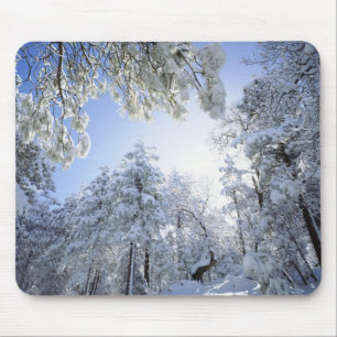 USA, California, Cleveland National Forest, Mouse Pad