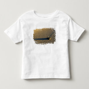 USA, California, Death Valley National Park. 2 Toddler T-Shirt