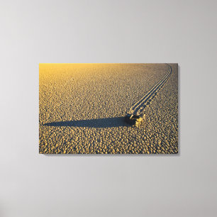 USA, California, Death Valley National Park. Canvas Print