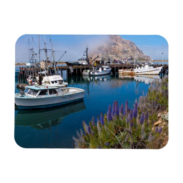 USA, California. Docked Boats At Morro Bay Magnet (Horizontal)