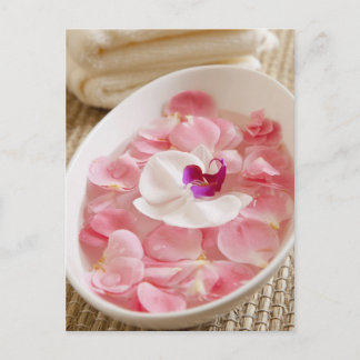 USA, California, Fairfax, Bowl of petals by Postcard
