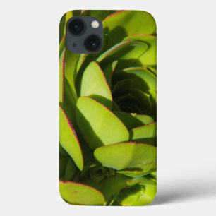 USA, California. Giant Lobelia Plant Close Up iPhone 13 Case
