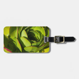 USA, California. Giant Lobelia Plant Close Up Luggage Tag