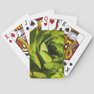 USA, California. Giant Lobelia Plant Close Up Playing Cards