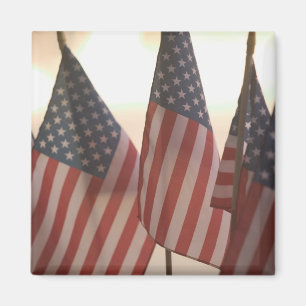USA, California, Gold Country, Amador City: Magnet