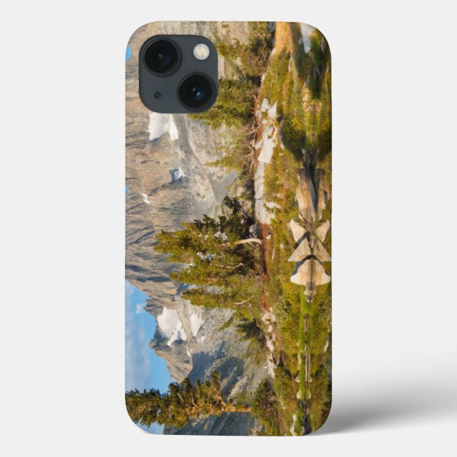 USA, California, Inyo National Forest 13 Case-Mate iPhone Case (Back)