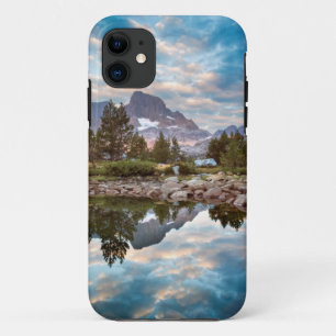 USA, California, Inyo National Forest 15 iPhone 11 Case