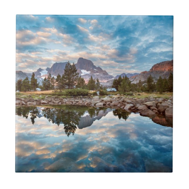 USA, California, Inyo National Forest 15 Tile (Front)