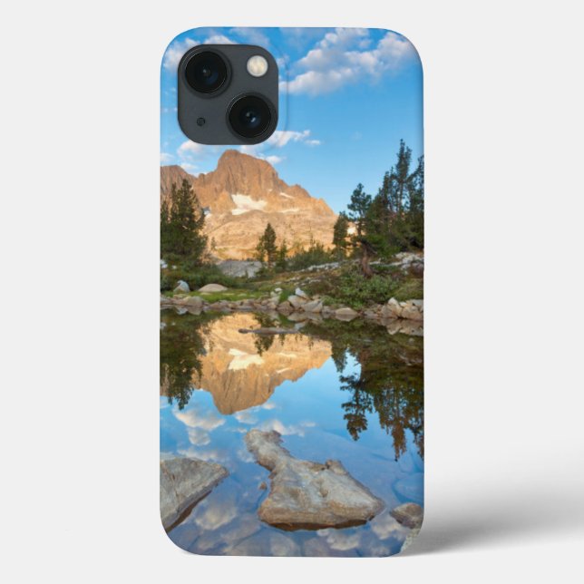 USA, California, Inyo National Forest. 2 Case-Mate iPhone Case (Back)