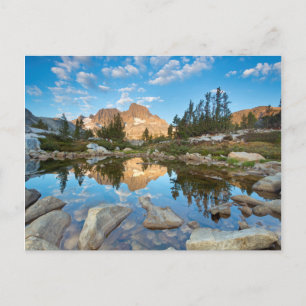 USA, California, Inyo National Forest. 2 Postcard