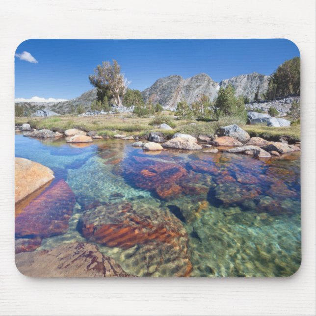 USA, California, Inyo National Forest 4 Mouse Pad (Front)