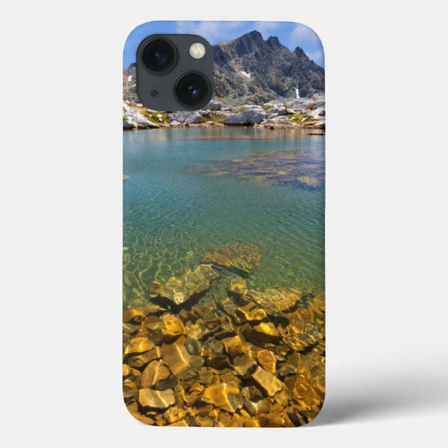 USA, California, Inyo National Forest 8 Case-Mate iPhone Case (Back)