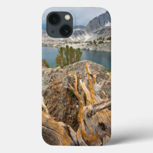 USA, California, Inyo National Forest. iPhone 13 Case