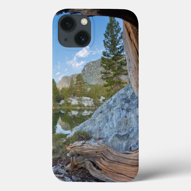 USA, California, Inyo National Forest. Old Pine Case-Mate iPhone Case (Back)