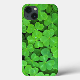 USA, California, Jedediah Smith Rewood SP. iPhone 13 Case
