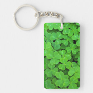 USA, California, Jedediah Smith Rewood SP. Key Ring