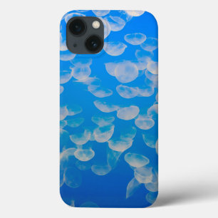 USA, California. Jellyfish In The Monterey Bay iPhone 13 Case