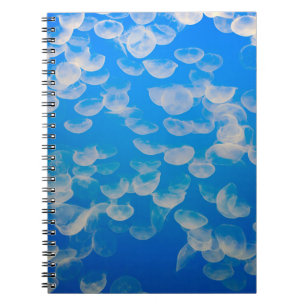 USA, California. Jellyfish In The Monterey Bay Spiral Notebook