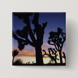 USA, California, Joshua Tree National Park, 15 Cm Square Badge
