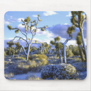 USA, California, Joshua Tree National Park. 2 Mouse Pad