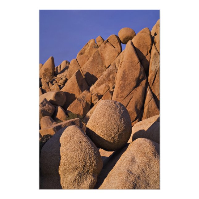 USA, California, Joshua Tree National Park. 2 Photo Print (Front)