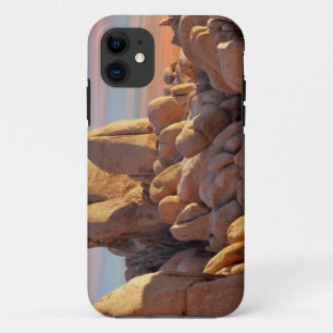 USA, California, Joshua Tree National Park iPhone 11 Case